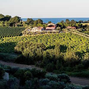 B&B - Il Villaggio dell'Uva